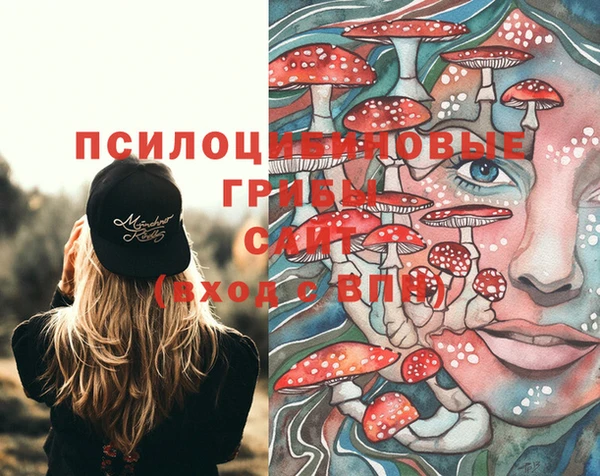 молекула духа Козельск