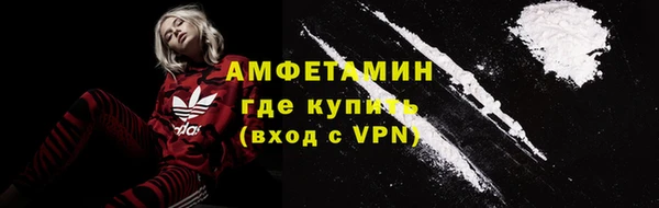 молекула духа Козельск