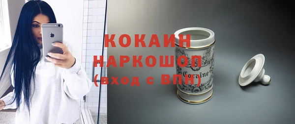 молекула духа Козельск