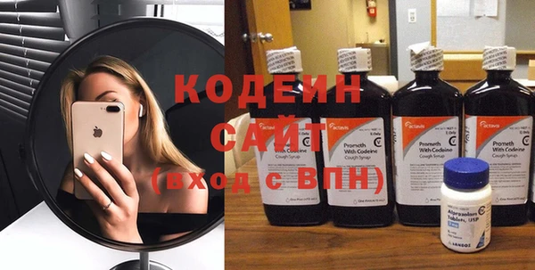 молекула духа Козельск
