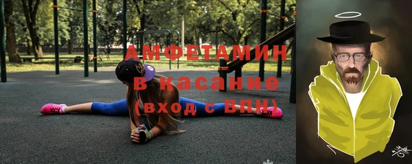 молекула духа Козельск