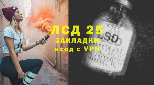 молекула духа Козельск