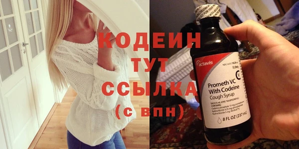 молекула духа Козельск