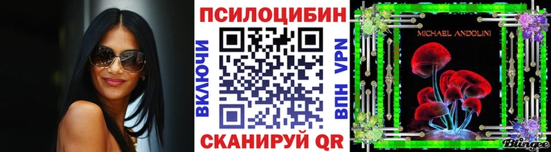 Купить закладки  Шадринск  Галлюциногенные грибы Magic Shrooms 